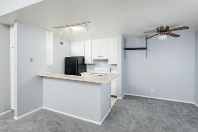 JR_0497_web