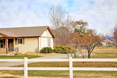 698 29 1/2 Rd, Grand Junction, CO 81504 - photo 4