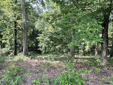 TBD Humphreys Rd, Morgantown, WV 26508 - photo 2