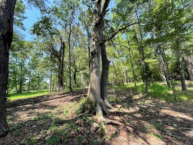 NA Reservoir Rd, Waynesboro, MS 39367 - photo 6