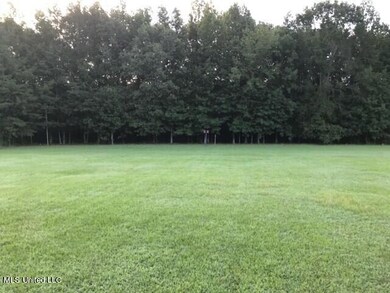 a back yard