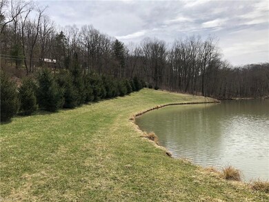 Spring fed pond