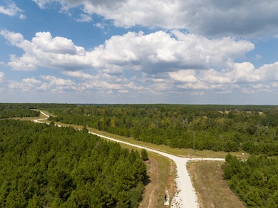 572 Robertson Rd, Lovelady, TX 75851 - photo 6