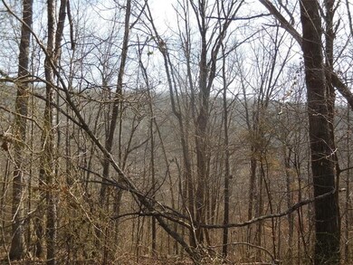 15041 Parker Branch Rd, West Fork, AR 72774 - photo 2