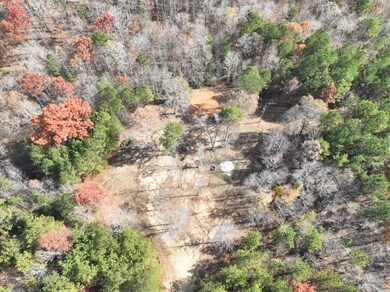 42 County Road 82, Fruithurst, AL 36262 - photo 2