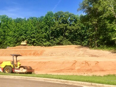 1102 Fawn Cove, Oxford, MS 38655 - photo 4