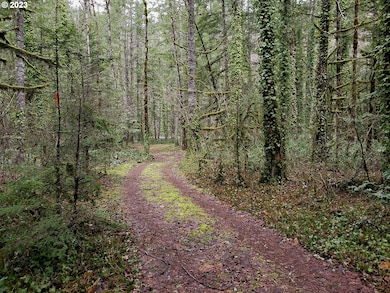 0 E Barlow Trail Rd unit 369670884, Brightwood, OR 97011 - photo 6