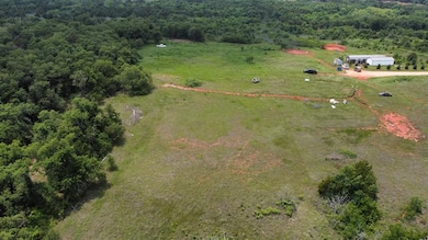 Drone / aerial view featuring a rural view