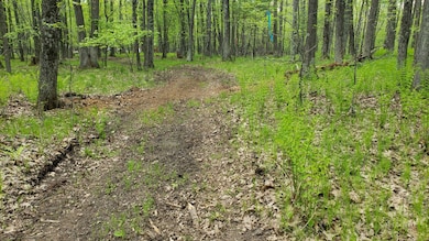 Located near Town Corner Lake