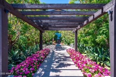 Gorgeous Walkway to Building