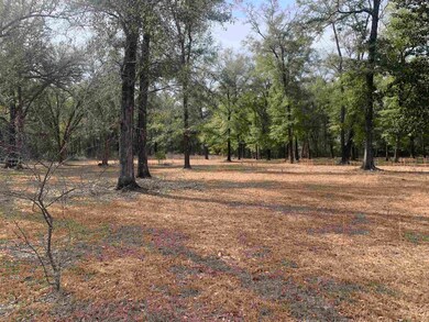 X Samuel Rd, Crawfordville, FL 32327 - photo 2
