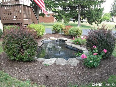Yard/Garden