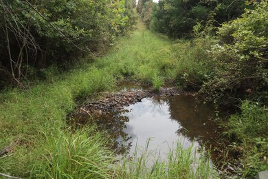 253 Coyote Rd, Salem, AR 72576 - photo 4