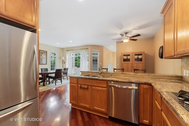 4266 Linden Tree Ln unit 1, Glenview, IL 60026 - photo 4