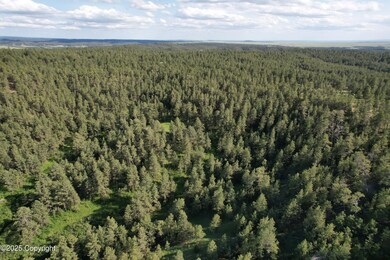 dji_fly_20250623_172402_781_175072114152
