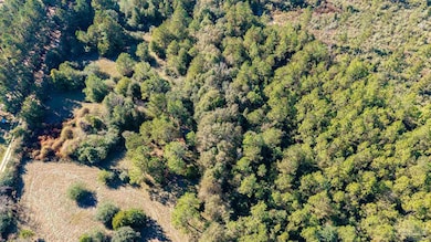 1756 Jacks Branch Rd, Cantonment, FL 32533 - photo 4