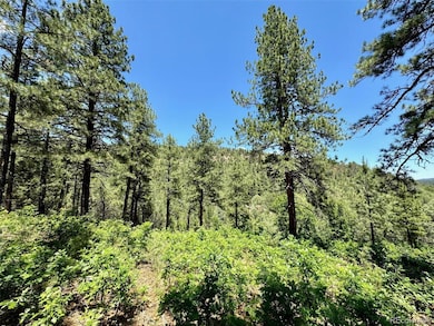 33161 Gallinas Pkwy unit D24, Trinidad, CO 81082 - photo 6