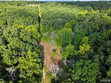Bird's eye view of a heavily wooded area