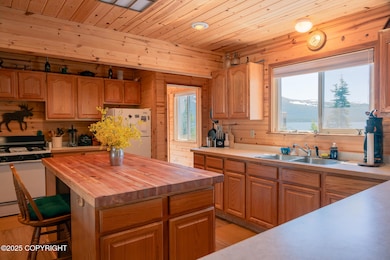Lake Clark Cabin - Kitchen 3