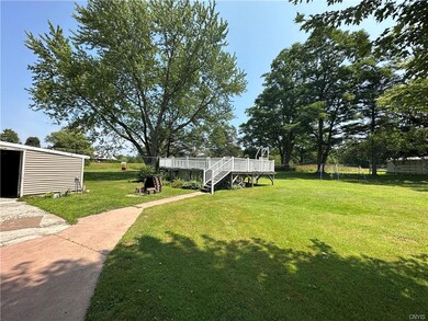 Backyard and pool