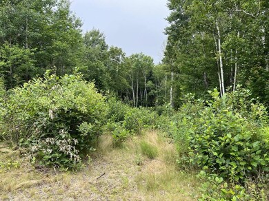 24 Annie's Way, Addison, ME 04606 - photo 3