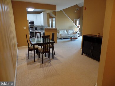 11306 Westbrook Mill Ln unit 302, Fairfax, VA 22030 - photo 5