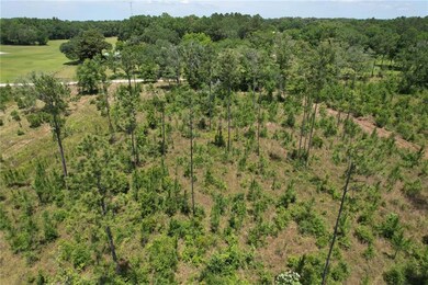 Bird's eye view of a forest
