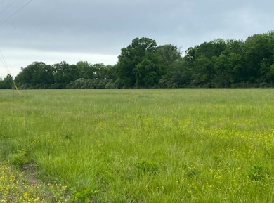 LT 138 Bandit Way, Savannah, TN 38372 - photo 5