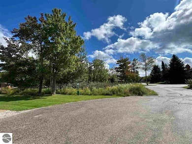 6500 Schuss Mountain Ln unit 112, Mancelona, MI 49659 - photo 3