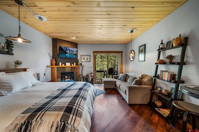 50827 Highway 550 unit 339, Durango, CO 81301 - photo 6