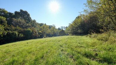 0 National Rd unit 222035511, Thornville, OH 43076 - photo 4