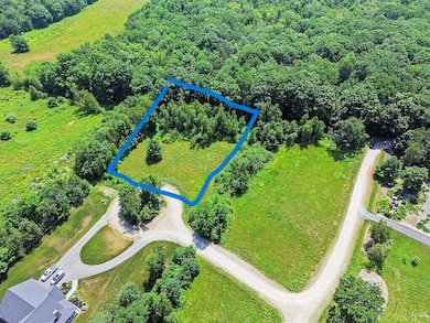 Lot 8 Brodies Path, Oakland, ME 04963 - photo 3