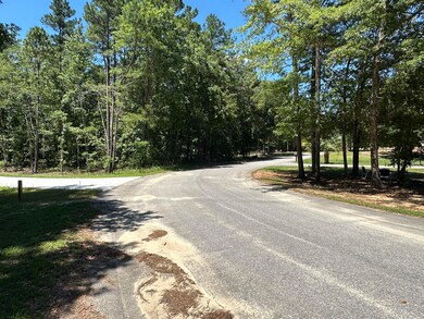 00 Sorin Cir, Elloree, SC 29047 - photo 5