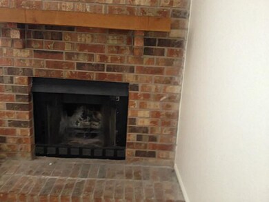 Den Fireplace
