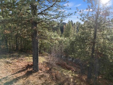 XXXX E View Ridge Ln, Spokane, WA 99206 - photo 7