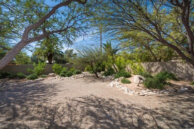 backyard-2.jpg