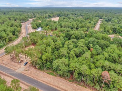 19853 Whispering Creek Trail, Magnolia, TX 77355 - photo 6