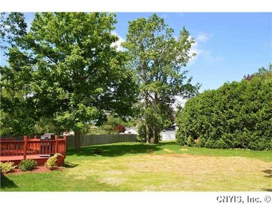 Backyard. Large open yet private yard.