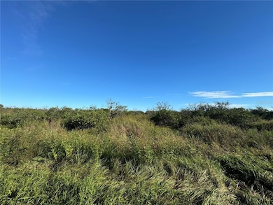 0 NE Highway 70 unit MFRC7514751, Arcadia, FL 34266 - photo 2