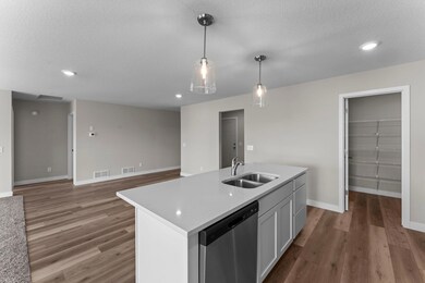 27241 Pete's Hill Trail, Elko New Market, MN 55020 - photo 4