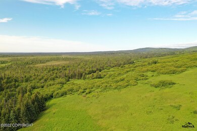 Alaskan Wildwood Ranch(r) P2 (3)