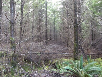 101 State Route 105, Raymond, WA 98577 - photo 2