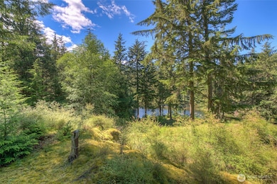 212 Eagle Lake Ln, Orcas Island, WA 98279 - photo 2