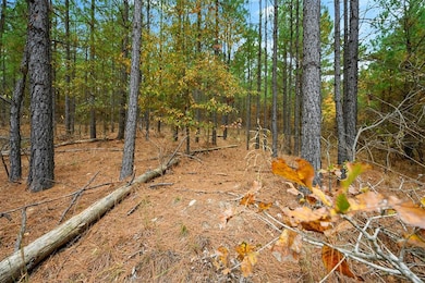 295 Hochapine Trail, Broken Bow, OK 74728 - photo 7