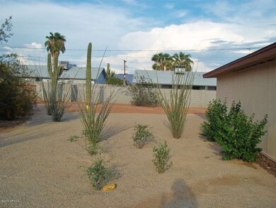 Side yard looking east
