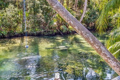 6110 Bear Trail, Weeki Wachee, FL 34607 - photo 4