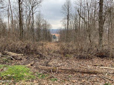 Below Walker Mountain Rd, Cookeville, TN 38506 - photo 4
