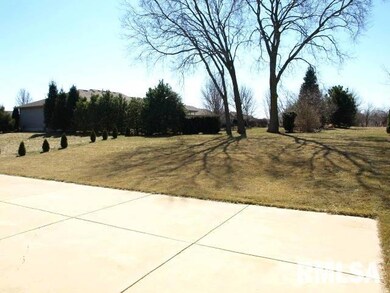 1920 W Miners Dr, Dunlap, IL 61525 - photo 4