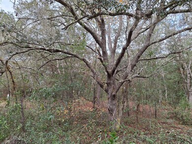 00 SE 73rd Place, Morriston, FL 32668 - photo 4