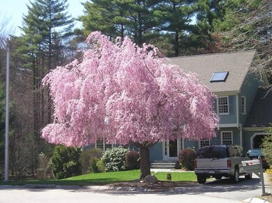 3 Steeplechase Ln, Franklin, MA 02038 - photo 2